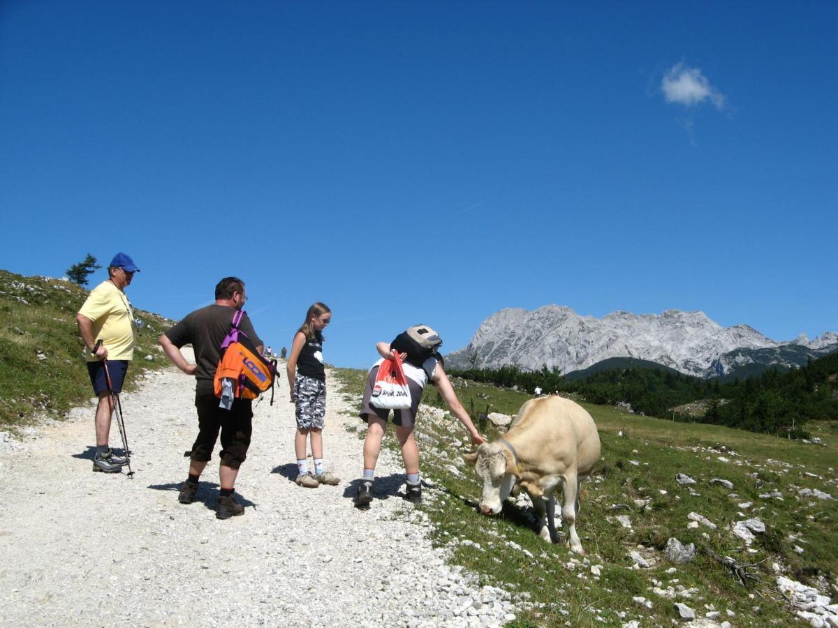 Alpine Chalet Velika Planina - Irenca - I Feel Alps Stahovica Εξωτερικό φωτογραφία